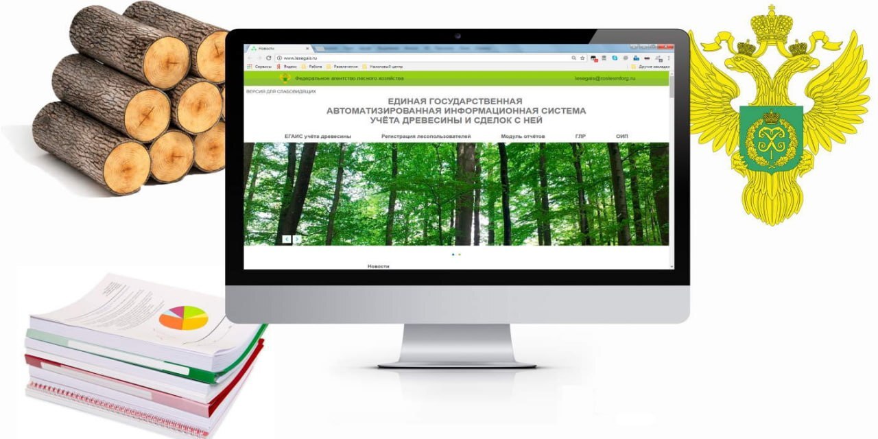 Система ЕГАИС для пиломатериалов. Система ЕГАИС учет пиломатериалов. Система учета леса. ЕГАИС лес учет древесины и сделок.